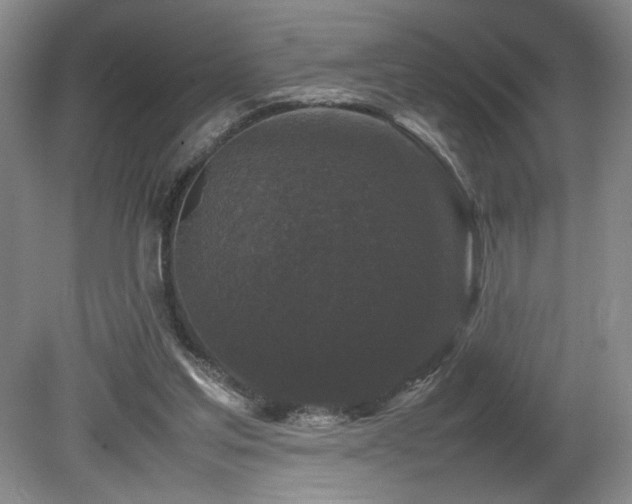 X0000082170205200701191316