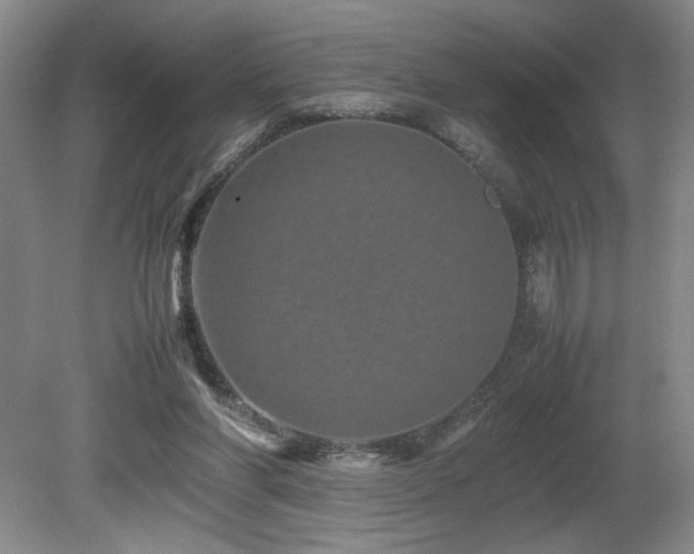 X0000082170206200701191316