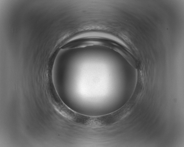 X0000082170207200701191316