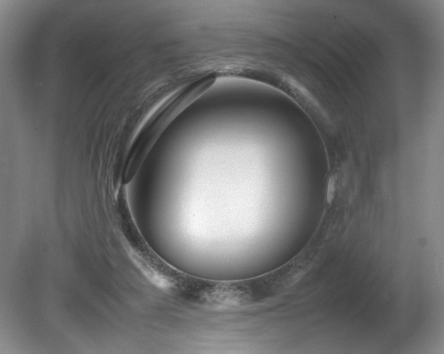 X0000082170209200701191316