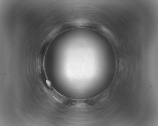 X0000082170210200701191316