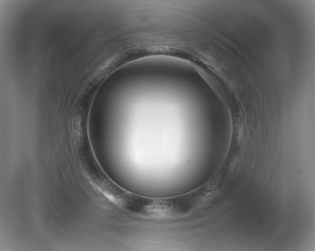 X0000082170211200701191316