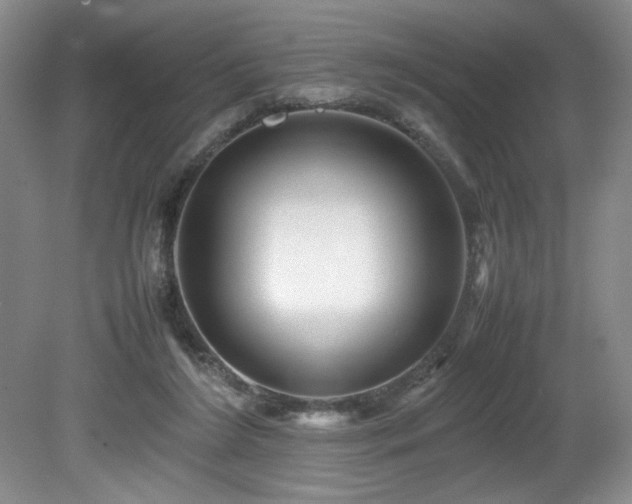 X0000082170212200701191316