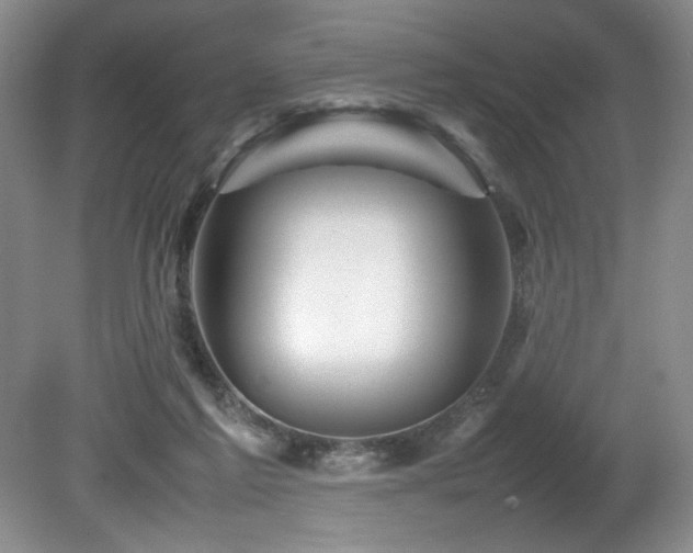 X0000082170213200701191316