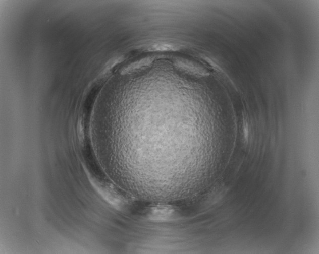 X0000082170214200701191316