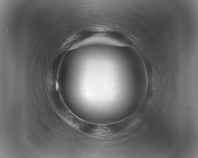 X0000082170215200701191316