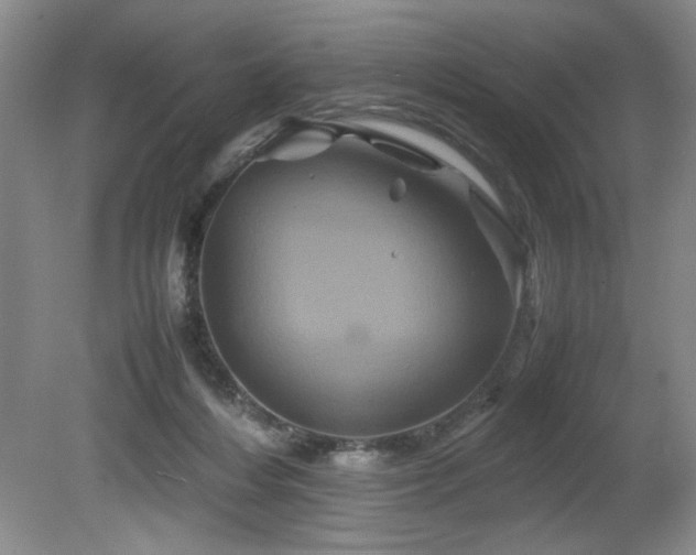 X0000082170216200701191316