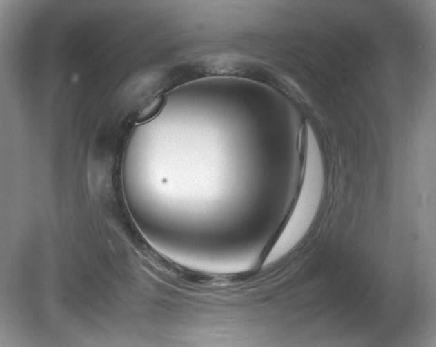 X0000082170217200701191316