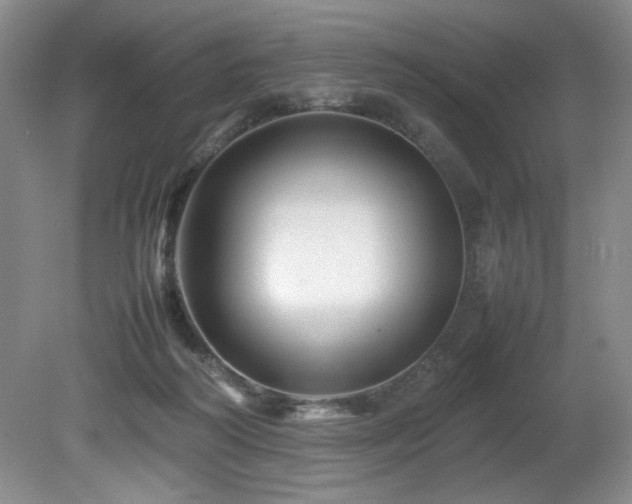 X0000082170218200701191316