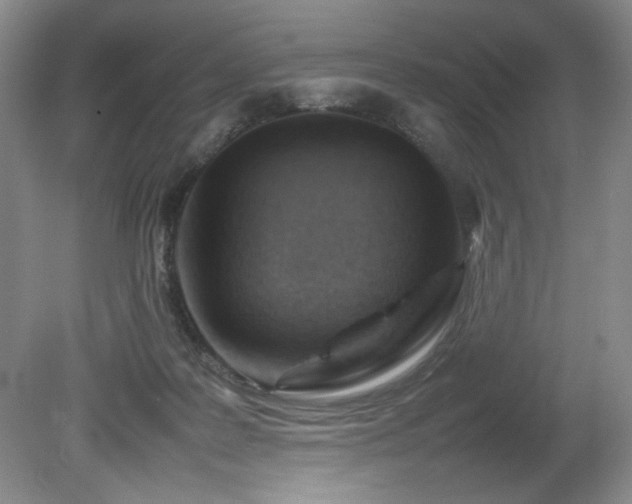 X0000082170219200701191316