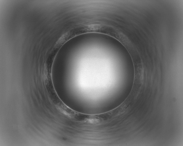 X0000082170220200701191316