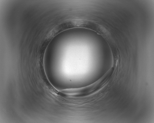 X0000082170221200701191316