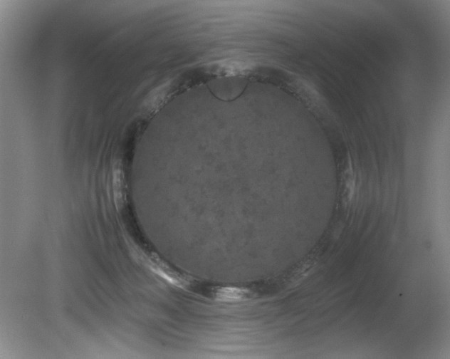 X0000082170222200701191316