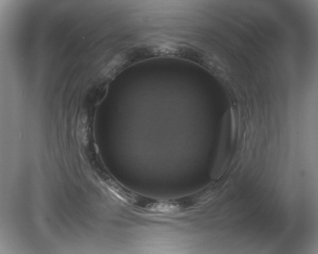 X0000082170223200701191316