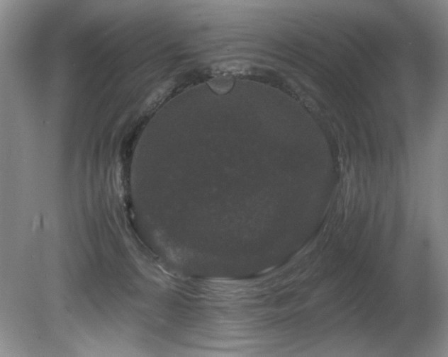 X0000082170224200701191316