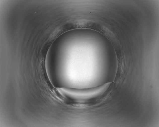 X0000082170225200701191316