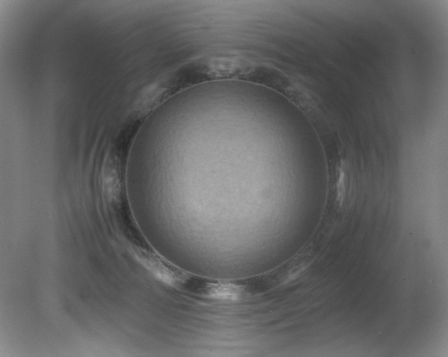 X0000082170226200701191316