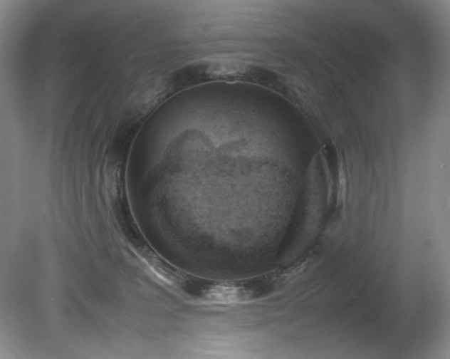 X0000082170227200701191316