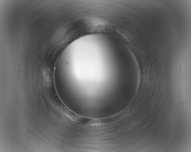 X0000082170228200701191315