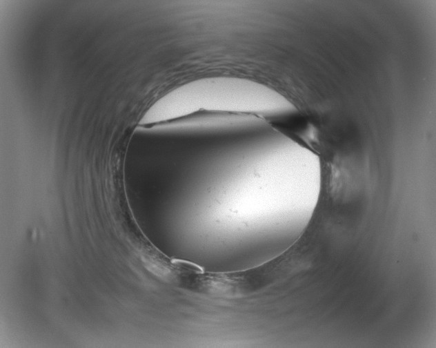 X0000082170229200701191315