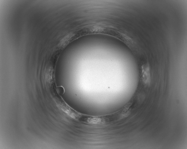 X0000082170230200701191315