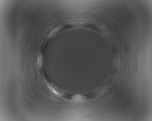 X0000082170231200701191315