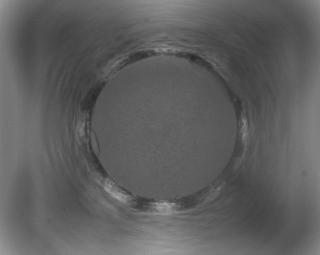 X0000082170233200701191315