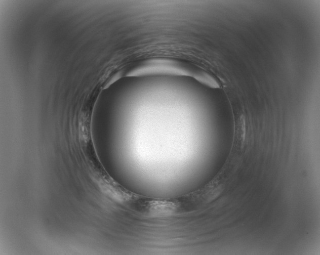 X0000082170234200701191315