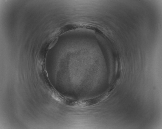 X0000082170235200701191315