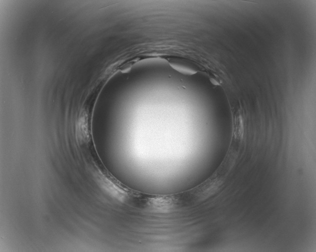 X0000082170238200701191315