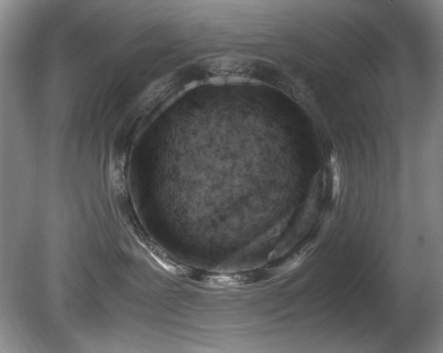 X0000082170239200701191315