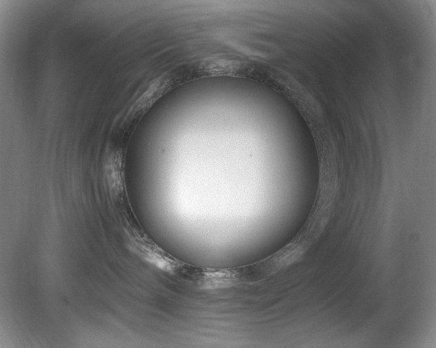 X0000082170240200701191315