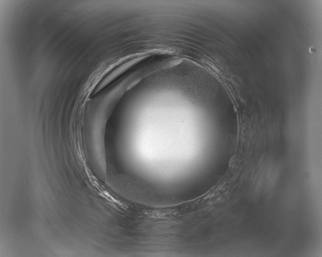 X0000082170241200701191314