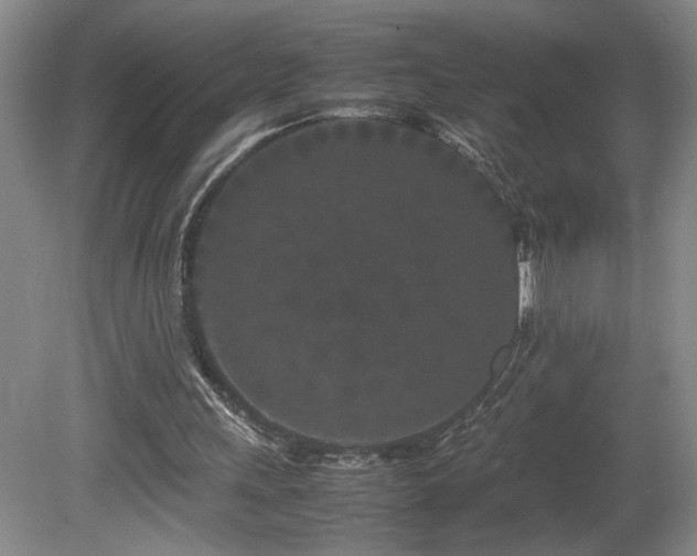 X0000082170243200701191315