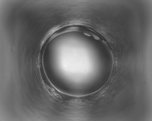 X0000082170244200701191315