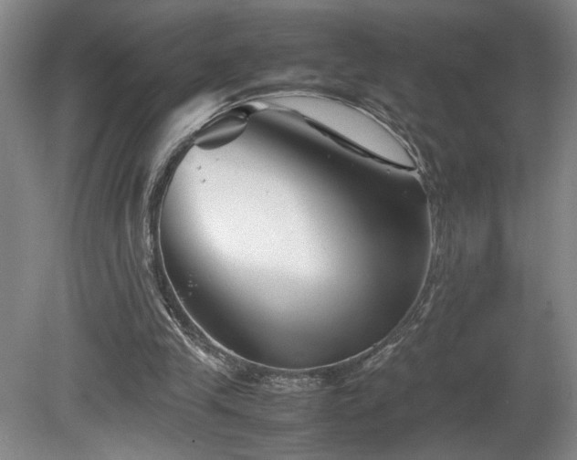 X0000082170245200701191315