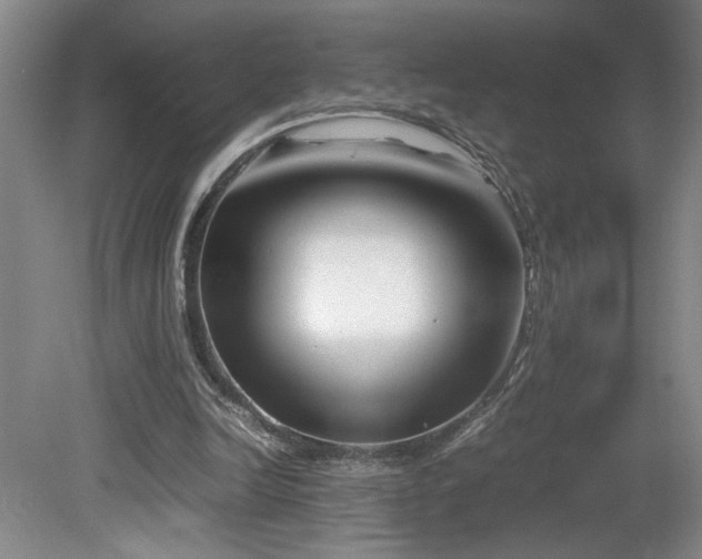 X0000082170246200701191315