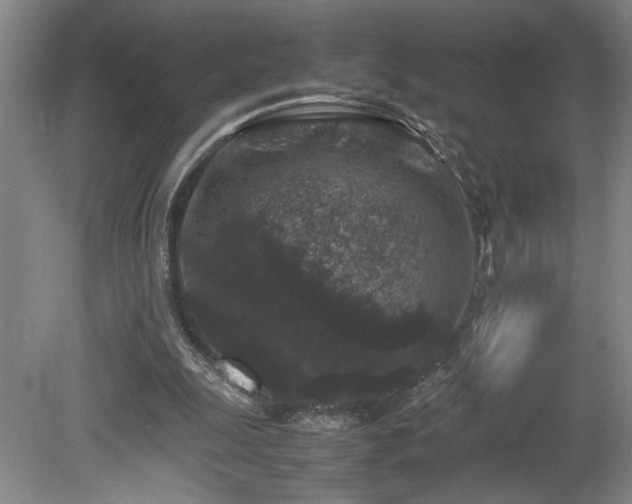 X0000082170247200701191315