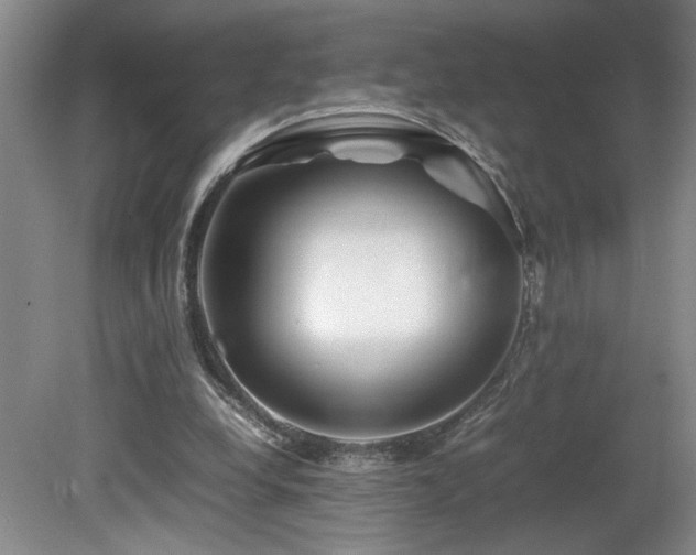 X0000082170248200701191315