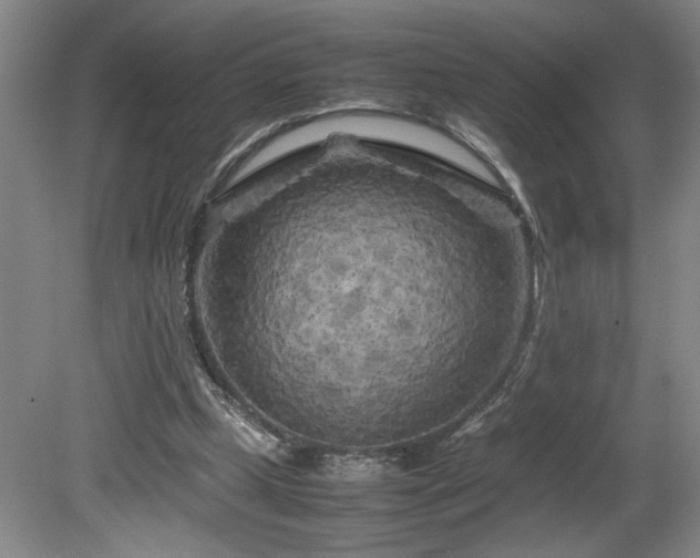 X0000082170249200701191315