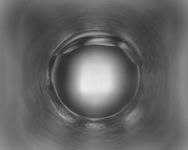 X0000082170251200701191315