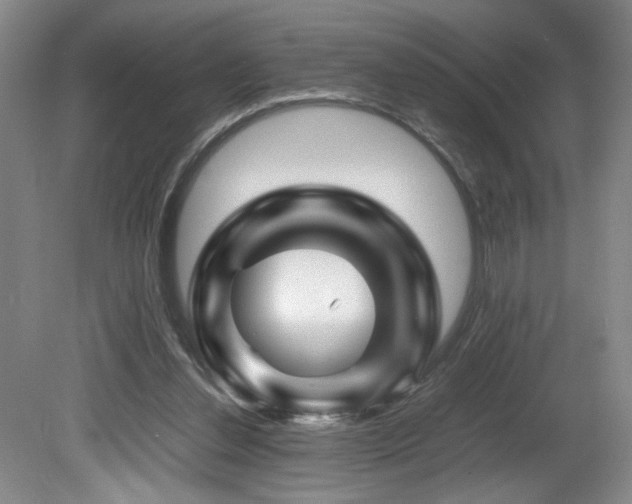 X0000082170252200701191315