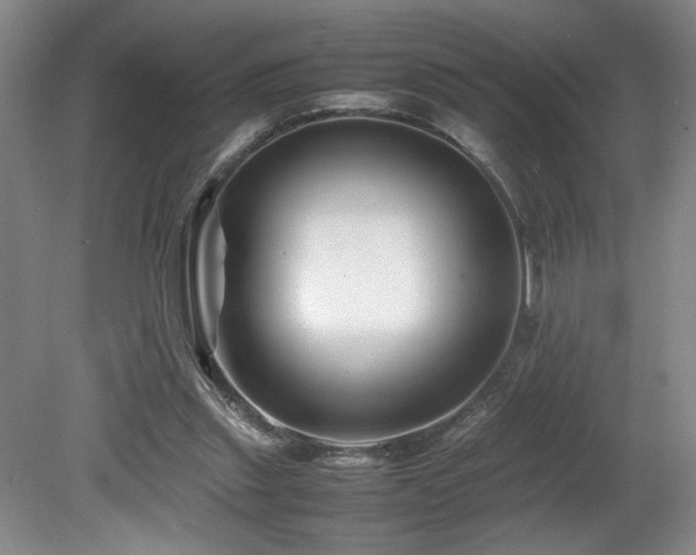 X0000082170253200701191315