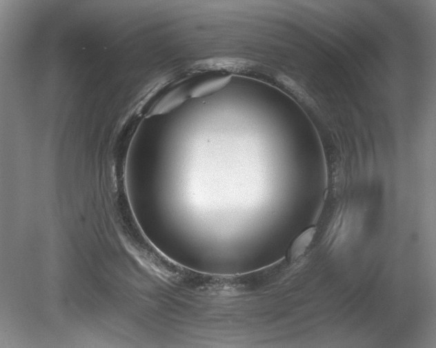 X0000082170254200701191315