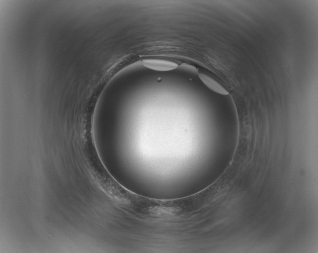 X0000082170255200701191315