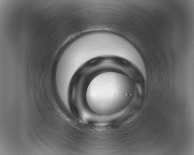 X0000082170256200701191315