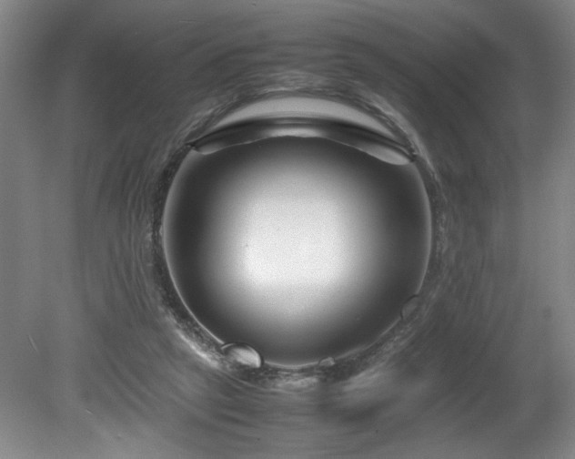 X0000082170257200701191315