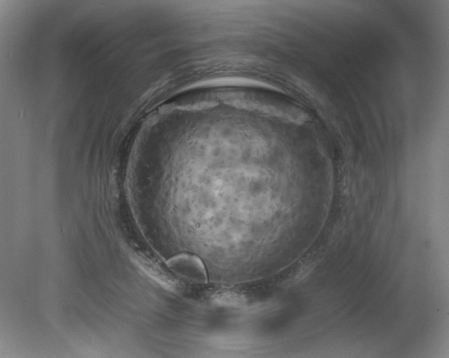 X0000082170258200701191315