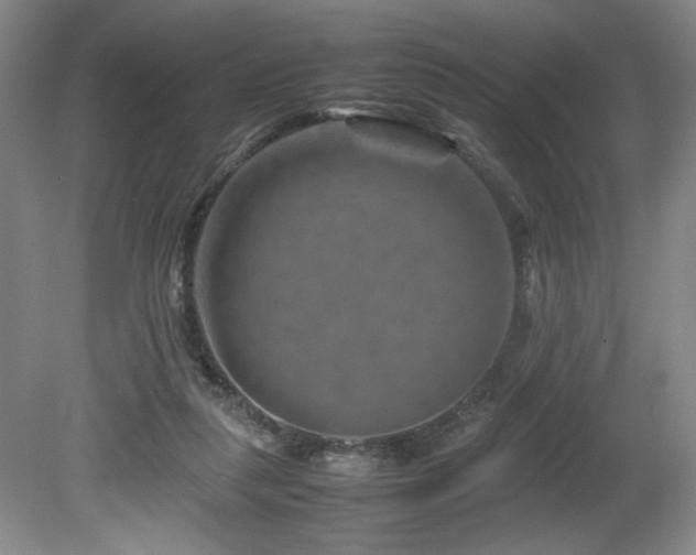 X0000082170259200701191315