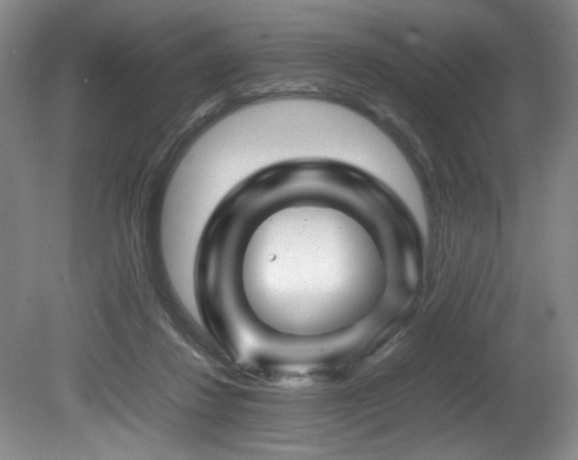 X0000082170260200701191315